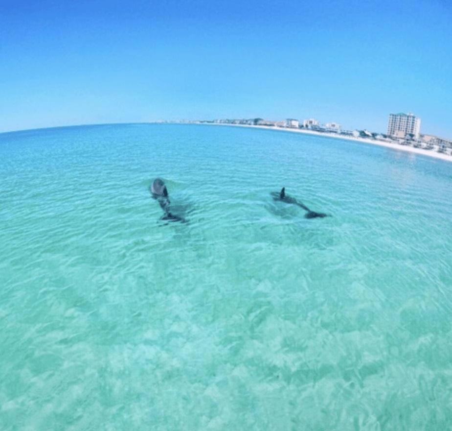Slt #2043 - Stunning View! Free Beach Service! Destin Eksteriør billede